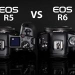 Canon r5 vs r6 Review